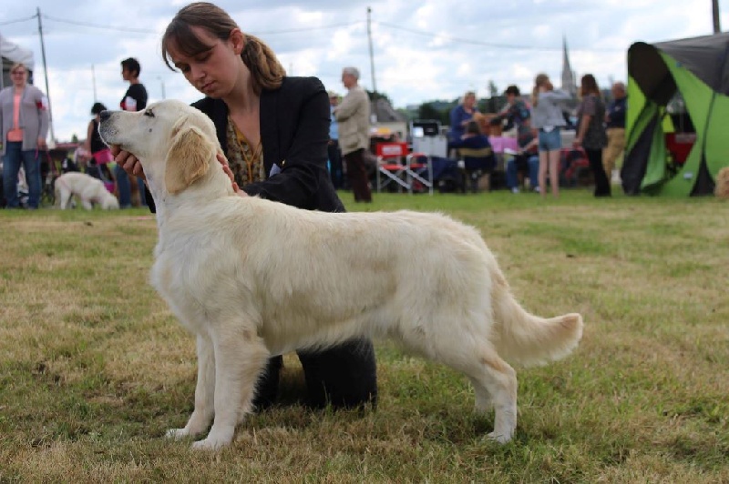 Livre ouvert de Bihan ki breizh - 3 éme exc classe jeune