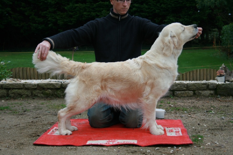 Allo win du royaume des reves - 4ème excellent en classe jeune