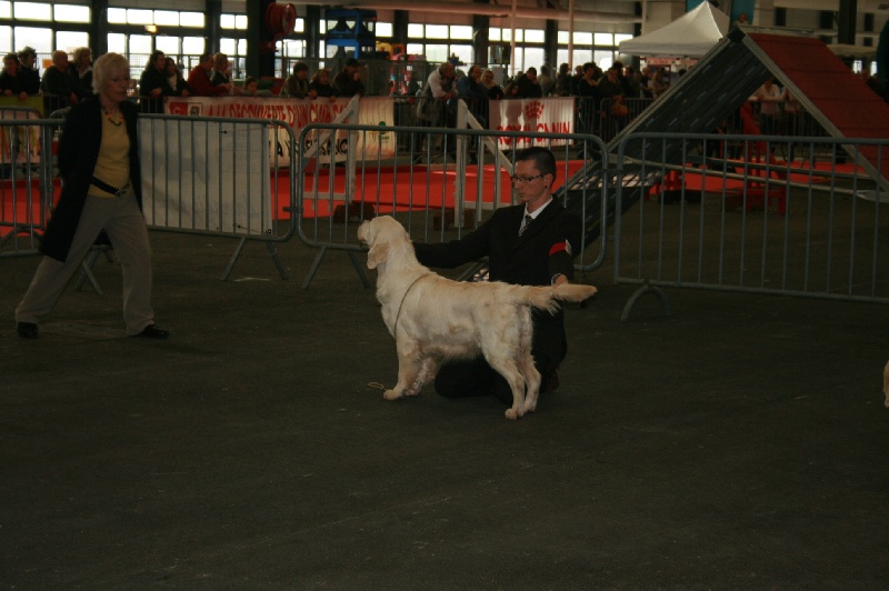 Cybèle de Bihan ki breizh - 2ème excellent en classe ouverte