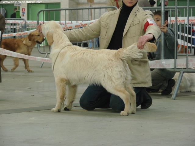 Lisa simpson del atrapasuenos - Très prometteur