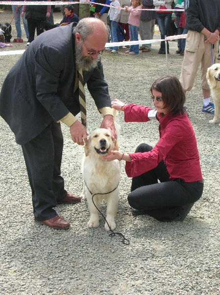 Vice versa (venus) des jardins d'Epona - Excellent