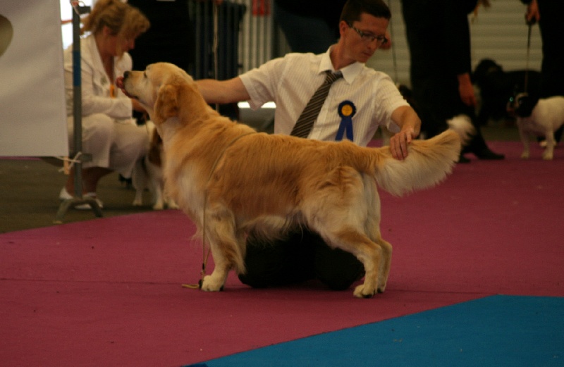 CH. Taram Du bois de la rayere - 1er excellent CACIB BOB