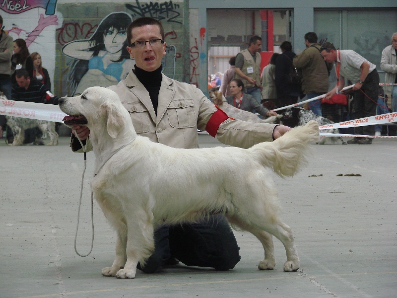 Cybèle de Bihan ki breizh - 2ème Excellent Cl O, RCACS, RCACIB