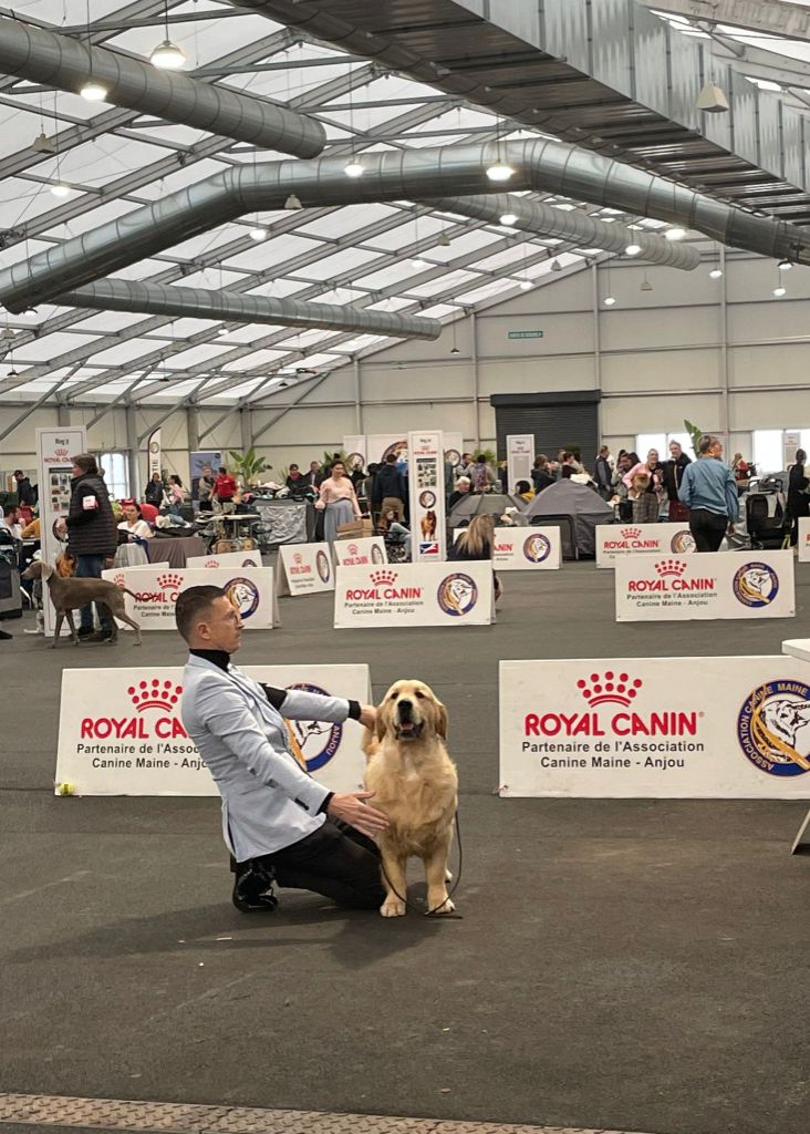 Val d orcia de Bihan ki breizh - 2 ème excellent