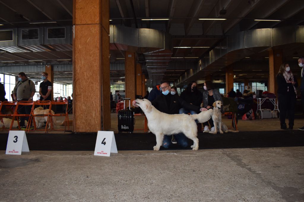 Rubis sur l or de Bihan ki breizh - 4ème excellent