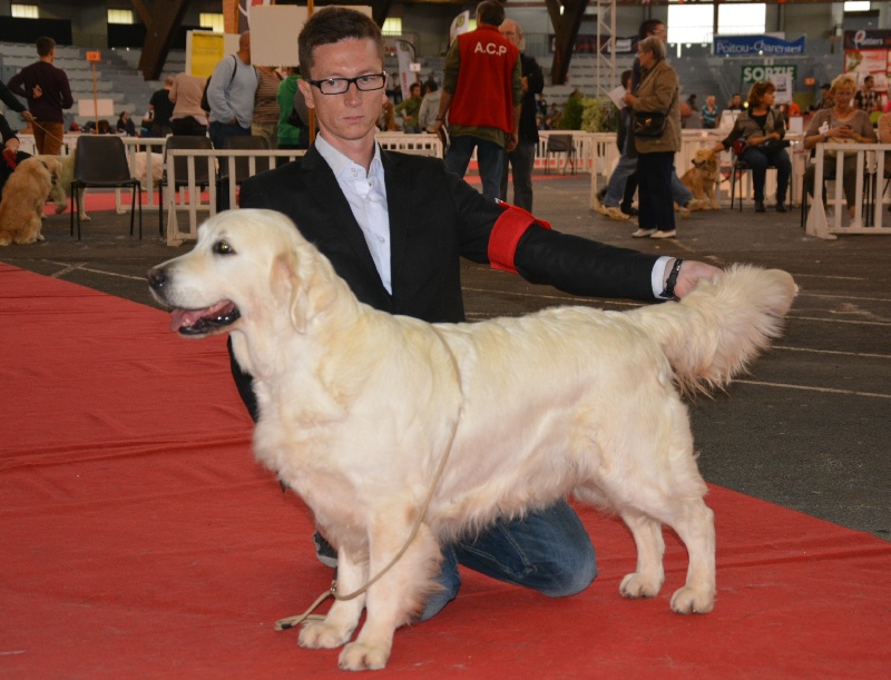 Cybèle de Bihan ki breizh - 2ème excellent en classe ouverte