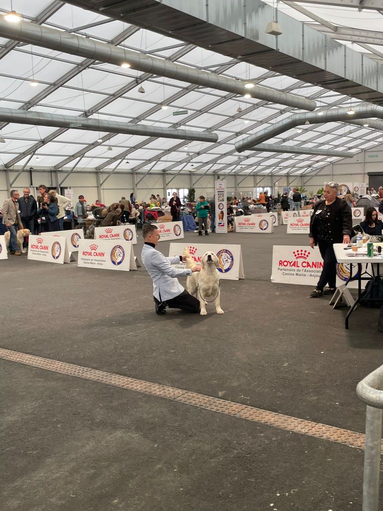 Val d orcia de Bihan ki breizh - 2 ème excellent