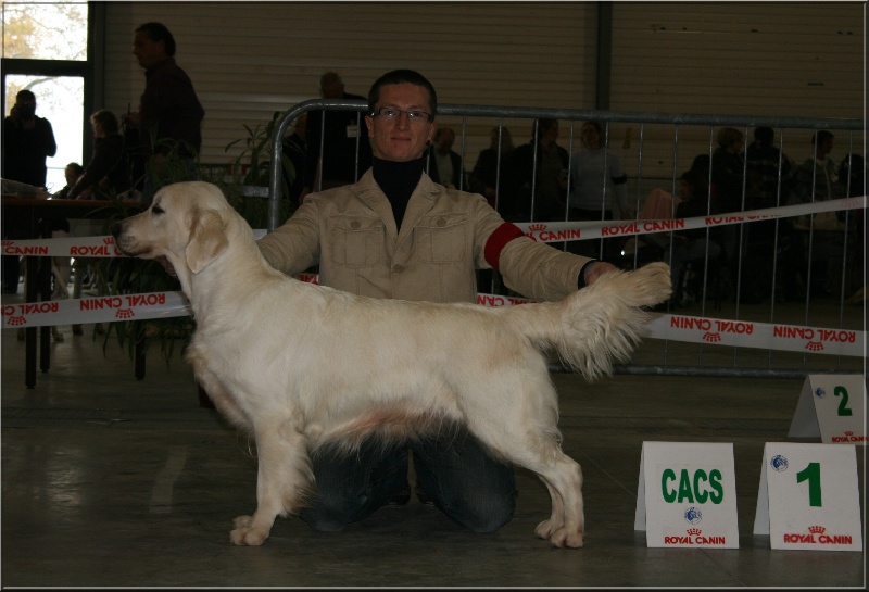 Cybèle de Bihan ki breizh - 1er excellent en classe ouverte, CACS,BOB