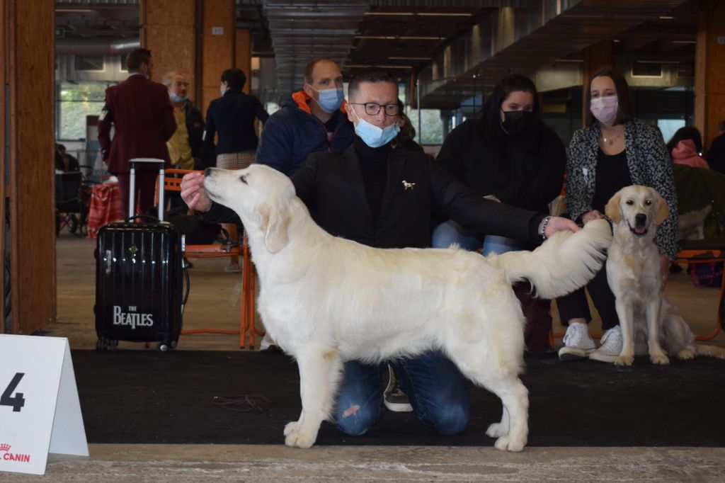 Rubis sur l or de Bihan ki breizh - 3ème excellent
