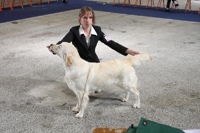 Lisa simpson del atrapasuenos - 2 ème excellent en classe jeune