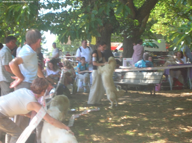 Vice versa (venus) des jardins d'Epona - 1ère Excellent Classe Intermédiaire