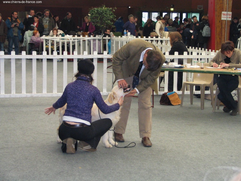 Vice versa (venus) des jardins d'Epona - 1ère exellent en classe intermédiaire