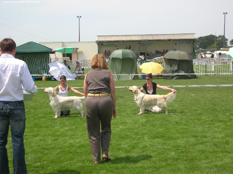 Vice versa (venus) des jardins d'Epona - 1ère Excellent, R.C.A.C.S.