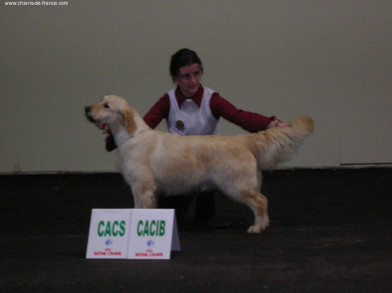 Vice versa (venus) des jardins d'Epona - 1ere excellent, CACS, CACIB