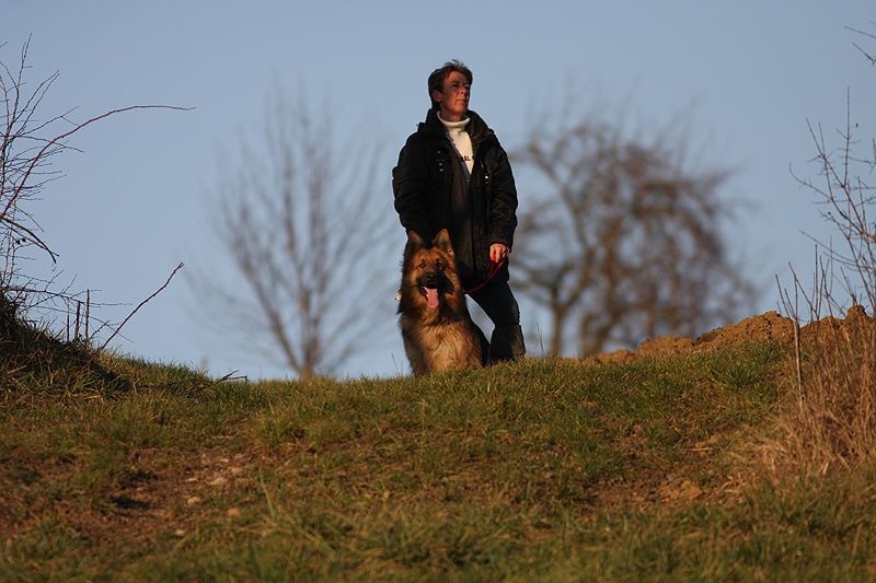 Publication : Des Plaines de l'Est Auteur : Pierre Schmitt