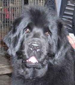 Publication : des granges de Thouzon