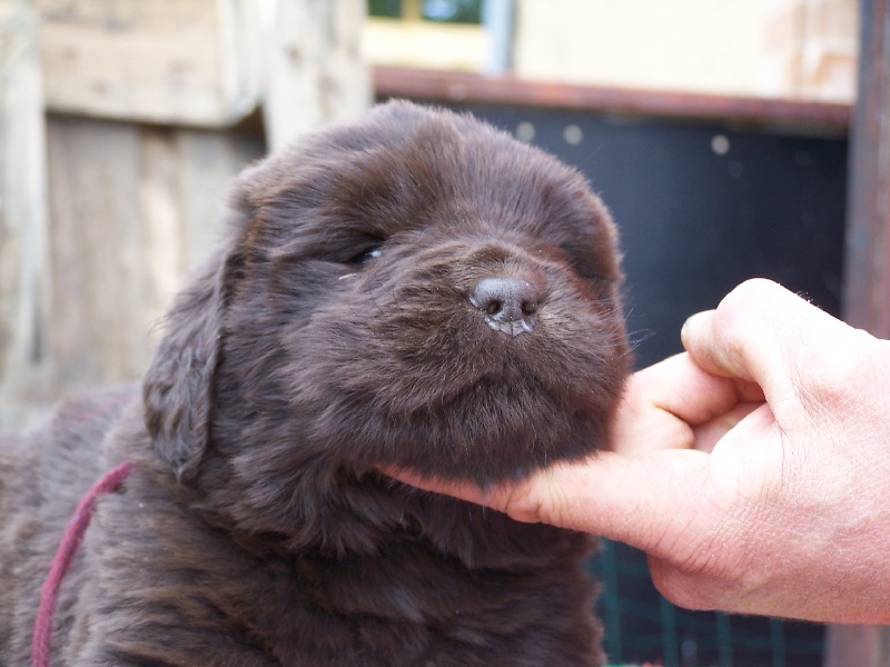 Publication : Nashoba Spirit's