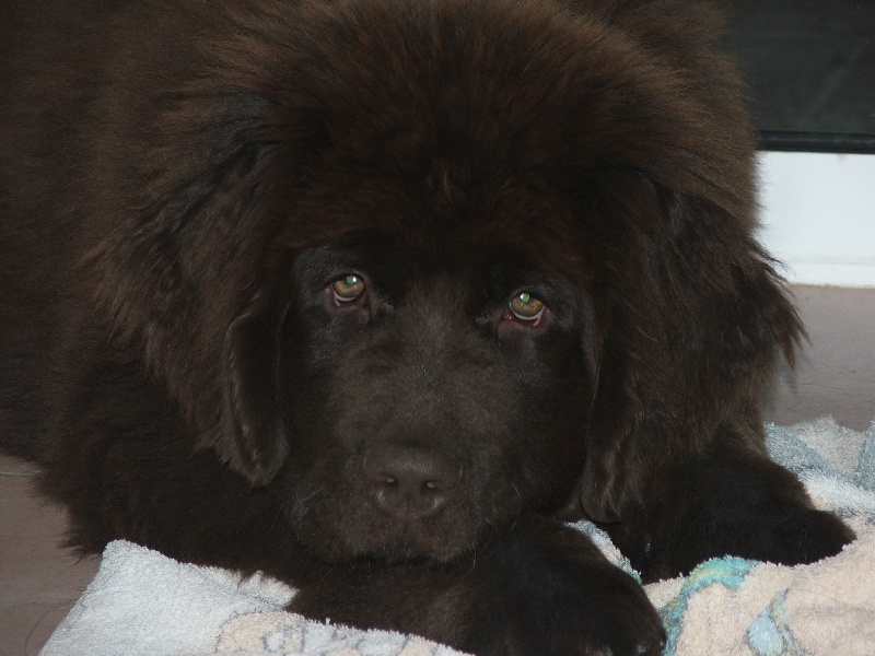 Publication : Nashoba Spirit's