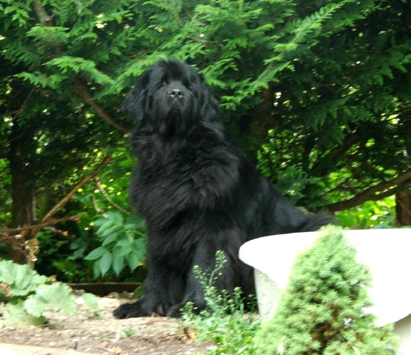 Publication : des granges de Thouzon