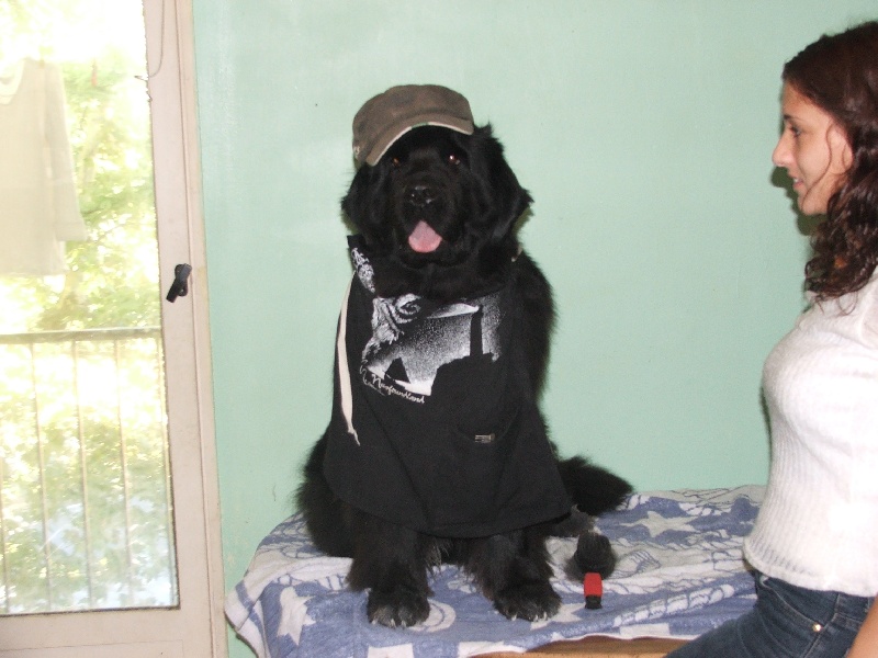 Publication : des granges de Thouzon