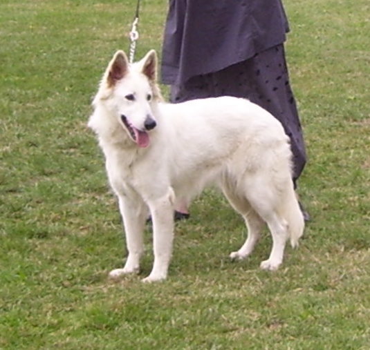 Publication : du Relais du Corrado