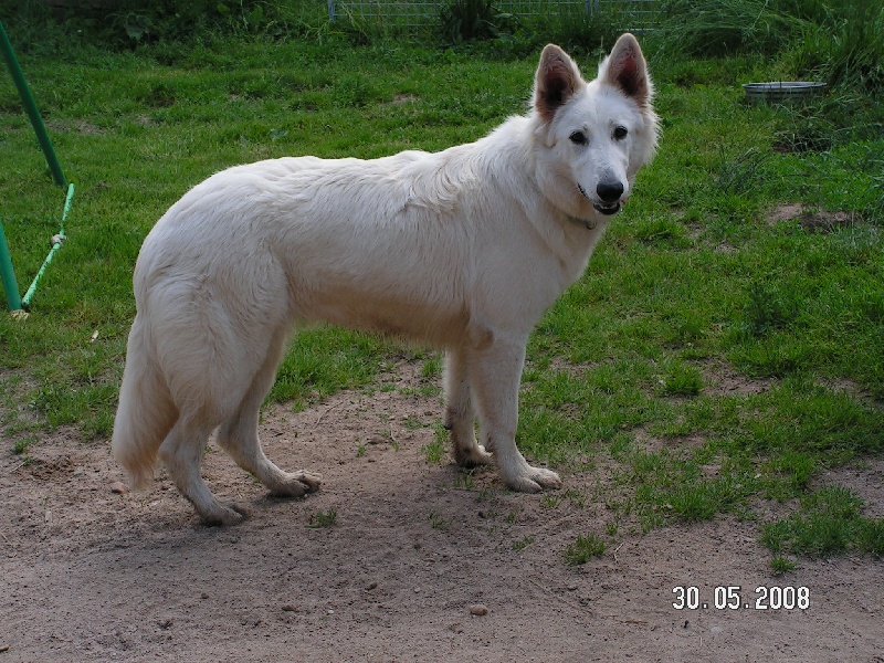 Publication : du Relais du Corrado