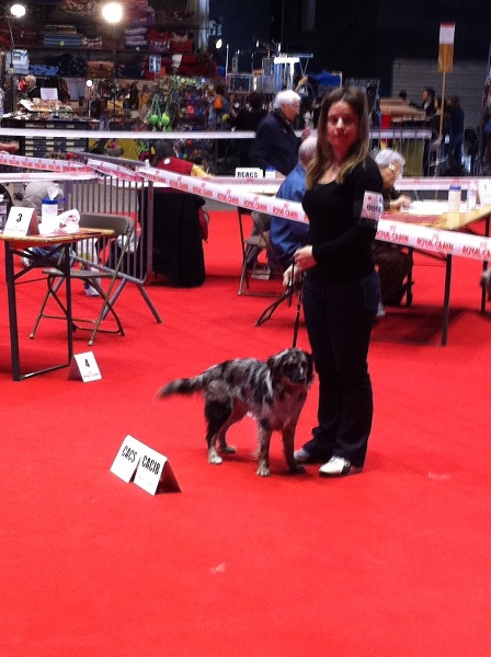 Enigme de la Patonnière - CACS - CACIB - BOB