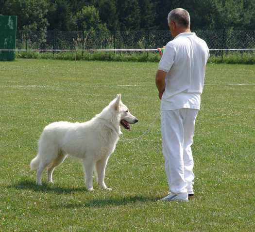 Publication : WHITE DREAMS OF ATHABASCA