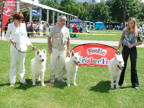 Publication : WHITE DREAMS OF ATHABASCA