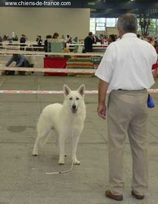 Nice of you to come bye Viking timo - 3° Excellent COM