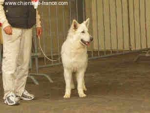 Nice of you to come bye Viking timo - 3ème jeune excellent