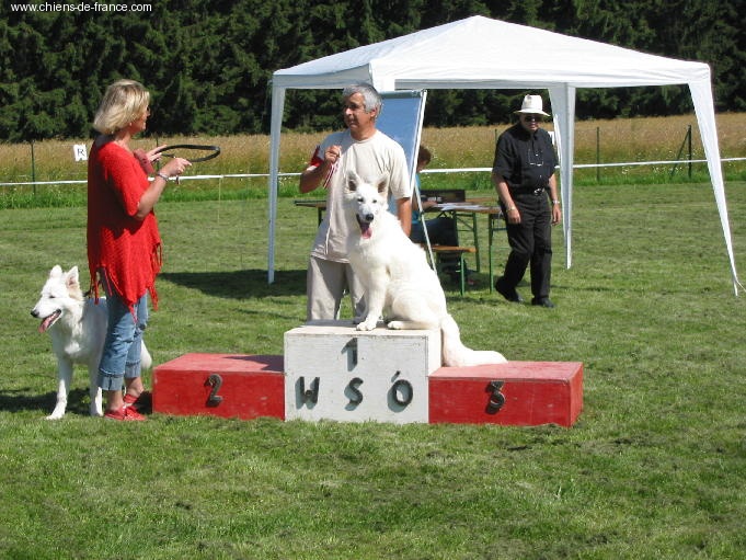 Nice of you to come bye Viking timo - 1er puppy trés prometteur