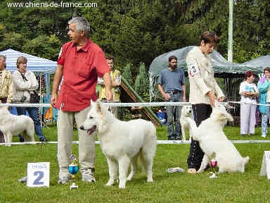 Nice of you to come bye Viking timo - 2ème puppy trés prometteur