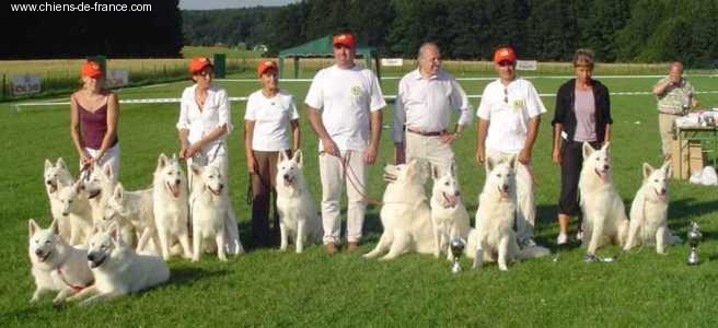 Nice of you to come bye Viking timo - 2eme excellent classe intermédiaire