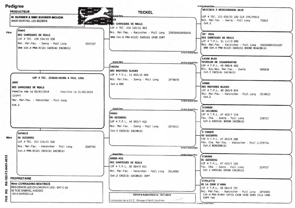 Publication : des Garrigues de Réals Auteur : CORRADINO Béatrice