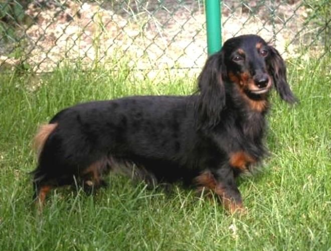 Publication : des Garrigues de Réals Auteur : Kerstin Shwartz