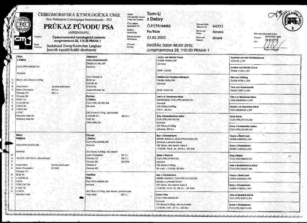 Publication : d'Hollywood Teckel Auteur : klamapdebra.com