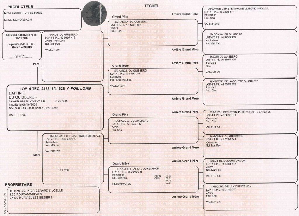Publication : des Garrigues de Réals Auteur : Bernier Joëlle