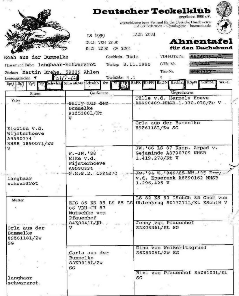 Publication : des Garrigues de Réals Auteur : Kerstin Shwartz