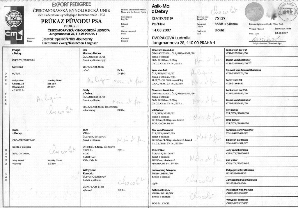 Publication : des Garrigues de Réals Auteur : Dupuy JM - Petite Orière