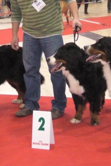 Happy Van de klaverhoeve - RCACS