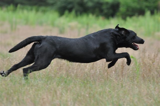 Publication : du Domaine de la Vallée de l'Andelle Auteur : RH