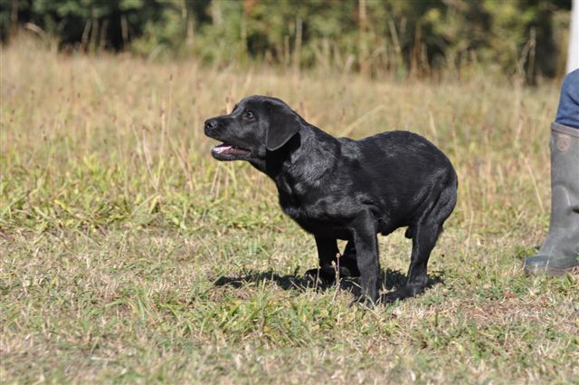 Publication : du Domaine de la Vallée de l'Andelle Auteur : RH.