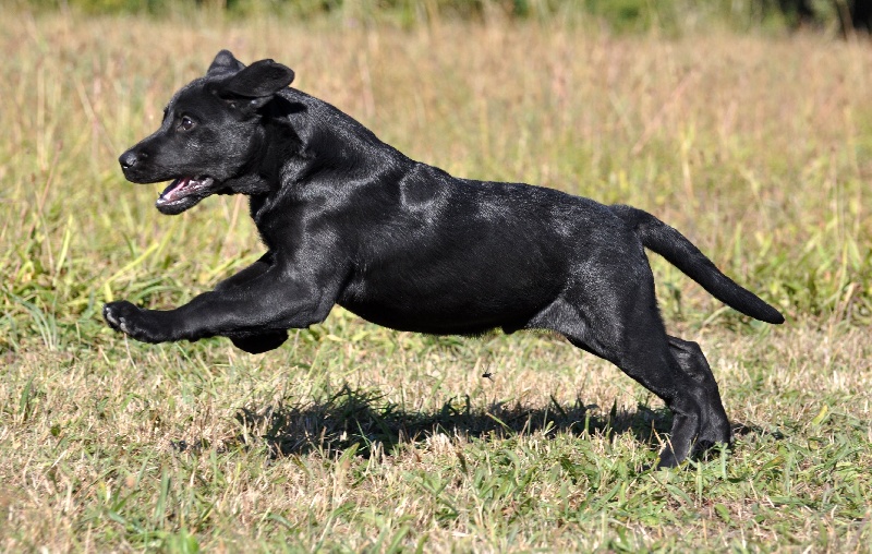 Publication : du Domaine de la Vallée de l'Andelle Auteur : RH.