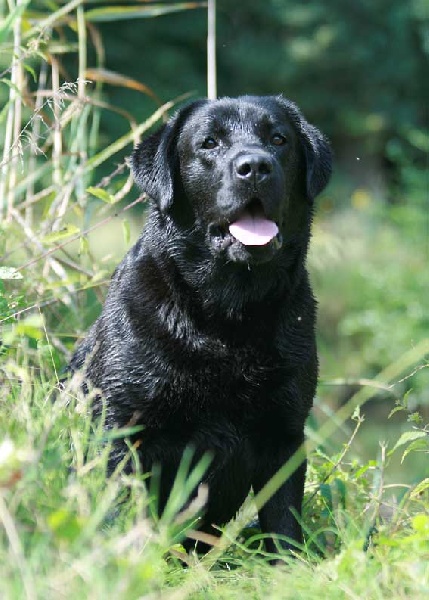 Publication : du Domaine de la Vallée de l'Andelle Auteur : C. Nanglard