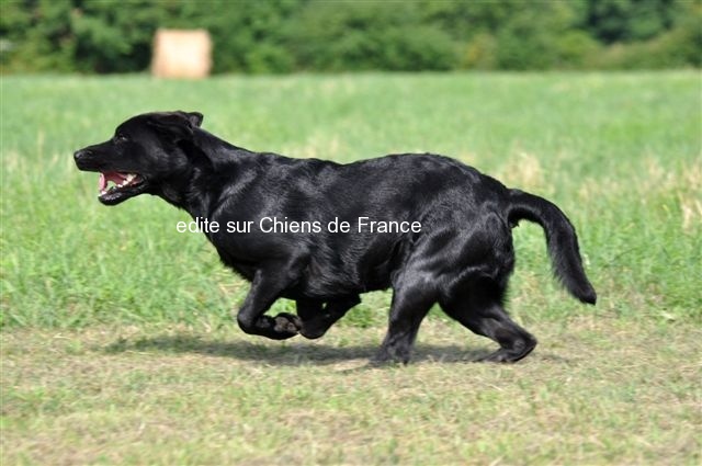 Publication : du Domaine de la Vallée de l'Andelle Auteur : RH.