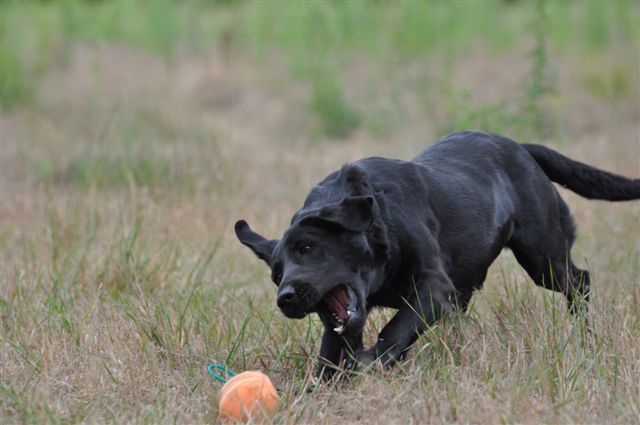 Publication : du Domaine de la Vallée de l'Andelle Auteur : RH