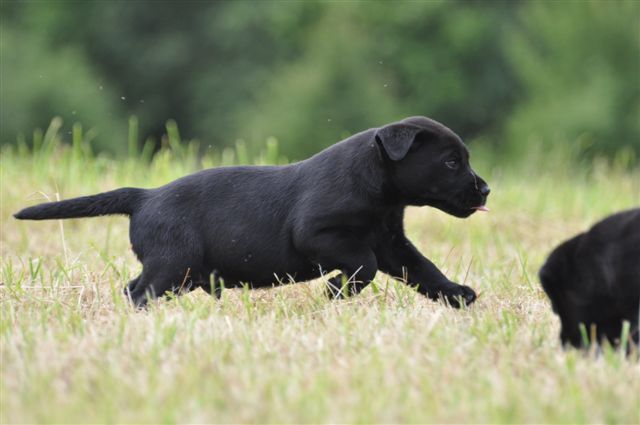 Publication : du Domaine de la Vallée de l'Andelle Auteur : RH.