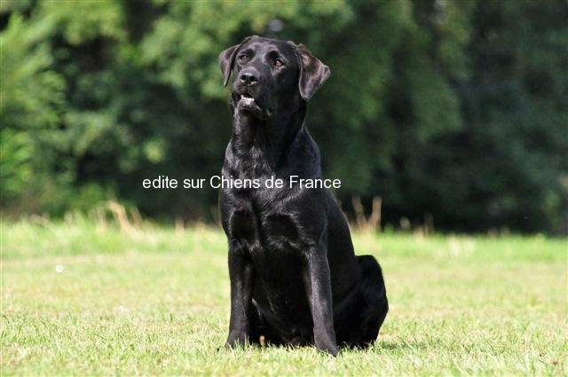 Publication : du Domaine de la Vallée de l'Andelle Auteur : RH.