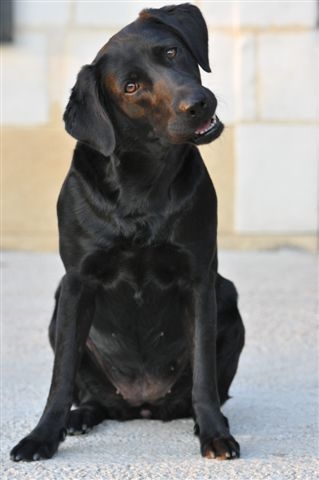 Publication : du Domaine de la Vallée de l'Andelle Auteur : RH